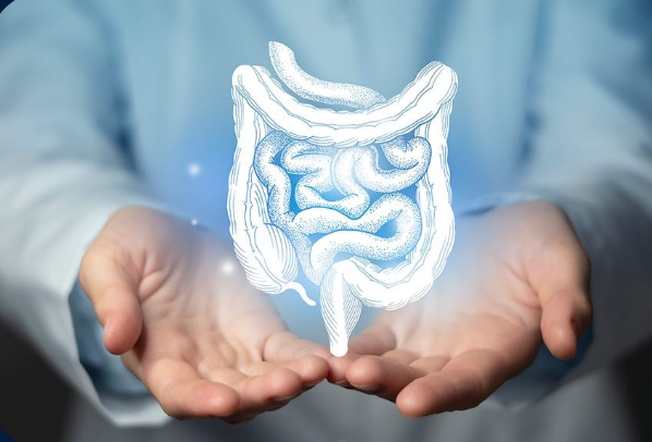 Illustration chirurgie digestive